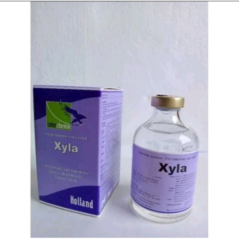 Jual Xyla 50 ml ORIGINAL 100% | Shopee Indonesia