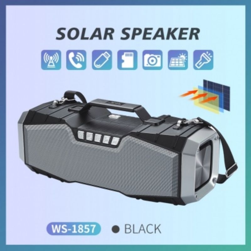 Jual WSTER Original Speaker Karaoke microphone Bluetooth wireless WS ...