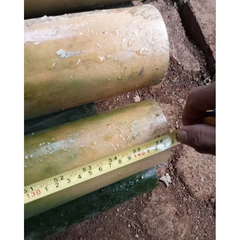 Jual bambu ruas 60 cm | Shopee Indonesia