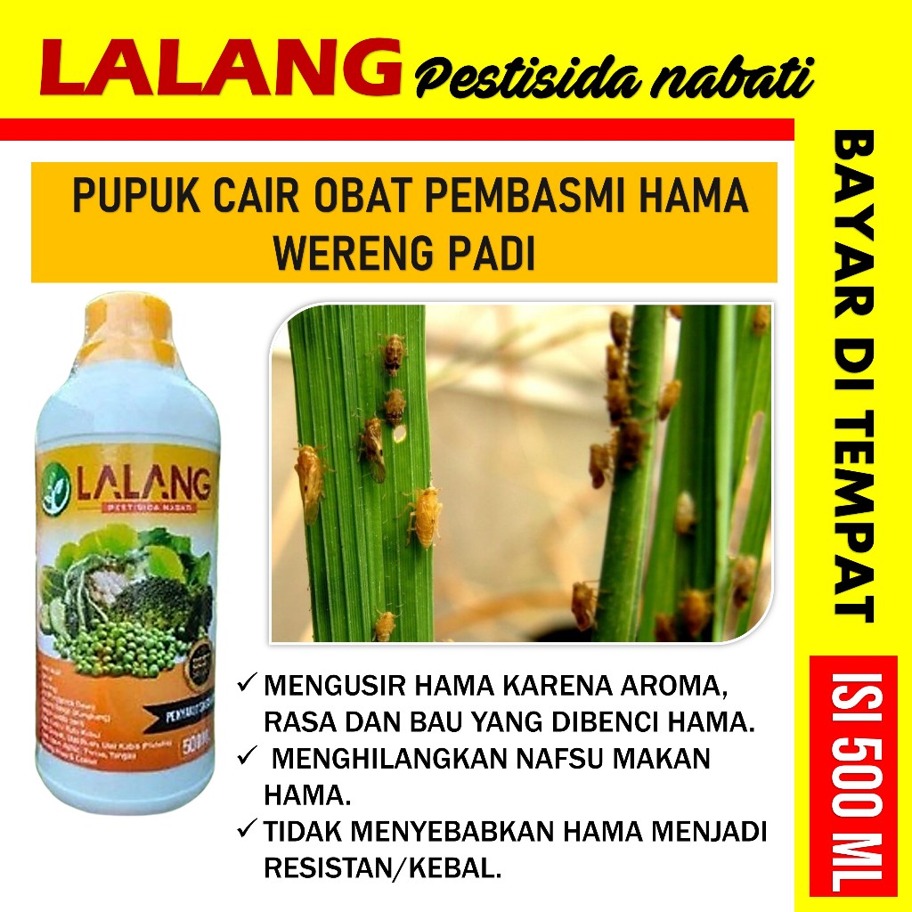 Jual Pestisida Nabati Obat Hama Wereng Coklat Pada Tanaman Padi Obat