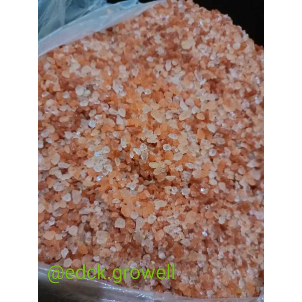 Jual Himalayan Course Salt - 25kg | Shopee Indonesia