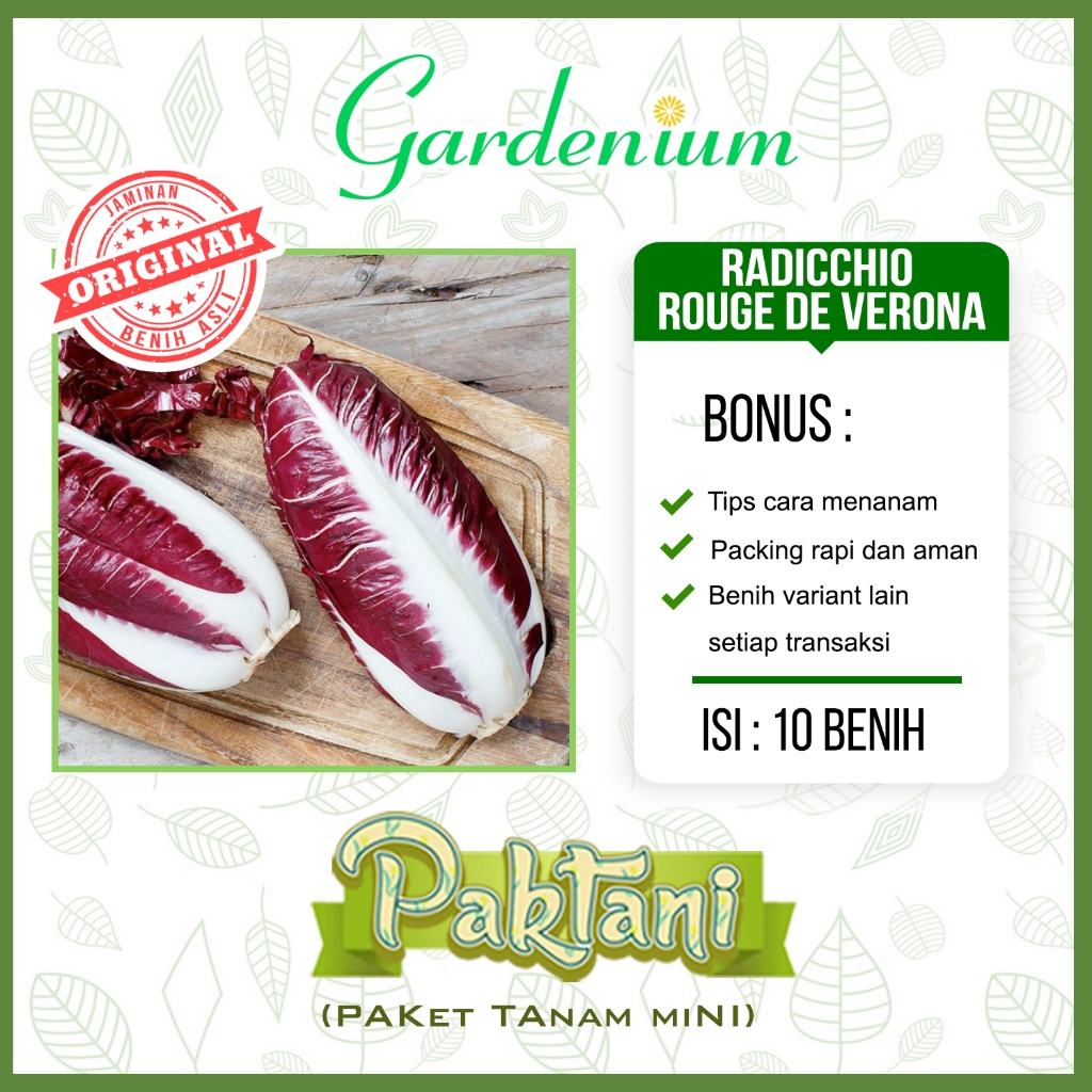 10 Benih Sawi Merah Radicchio Rouge De Verona Sayuran Paktani