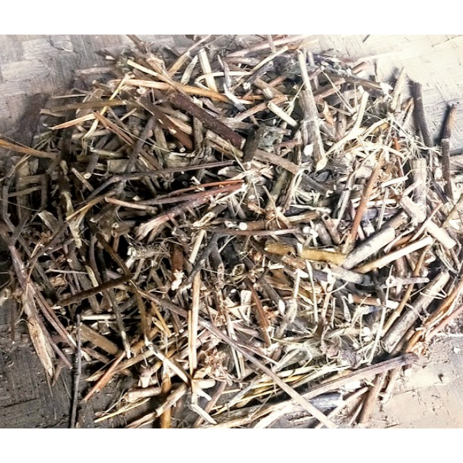 Jual Batang Badotan Kering / Ranting Pohon Babadotan Kering | Shopee ...