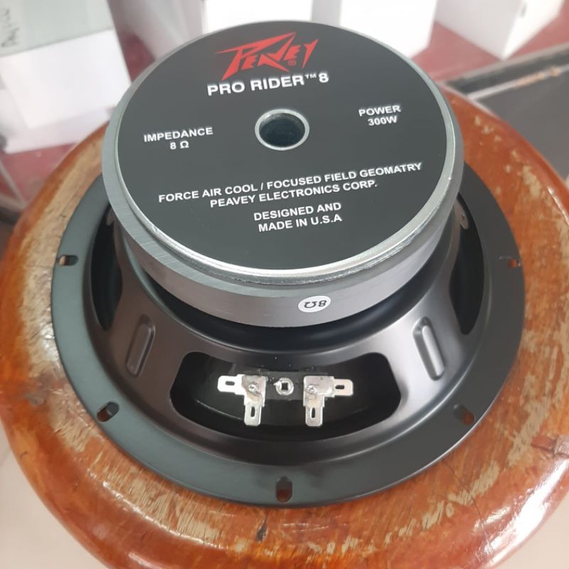 Jual SPEAKER COMPONENT PEAVEY PRO RIDER 8 INCH 8 OHM 300 WATT | Shopee ...