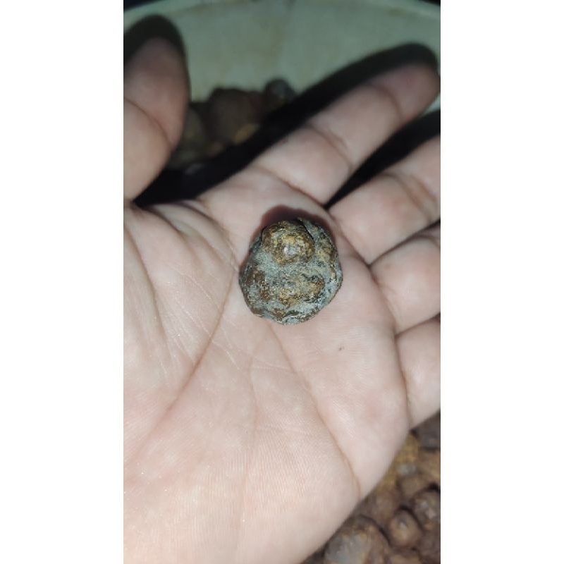 Jual MUNTA BESI | Shopee Indonesia