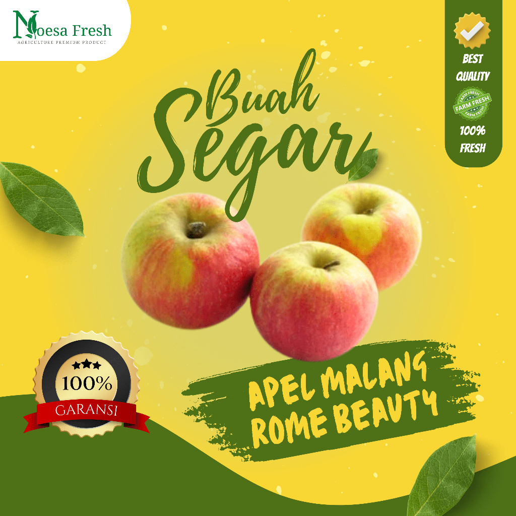 Jual Apel Rome Beauty Malang Fresh 1kg | Oleh-Oleh Khas Batu Malang ...