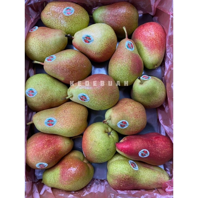 Jual Pear Forelle Africa Shopee Indonesia 