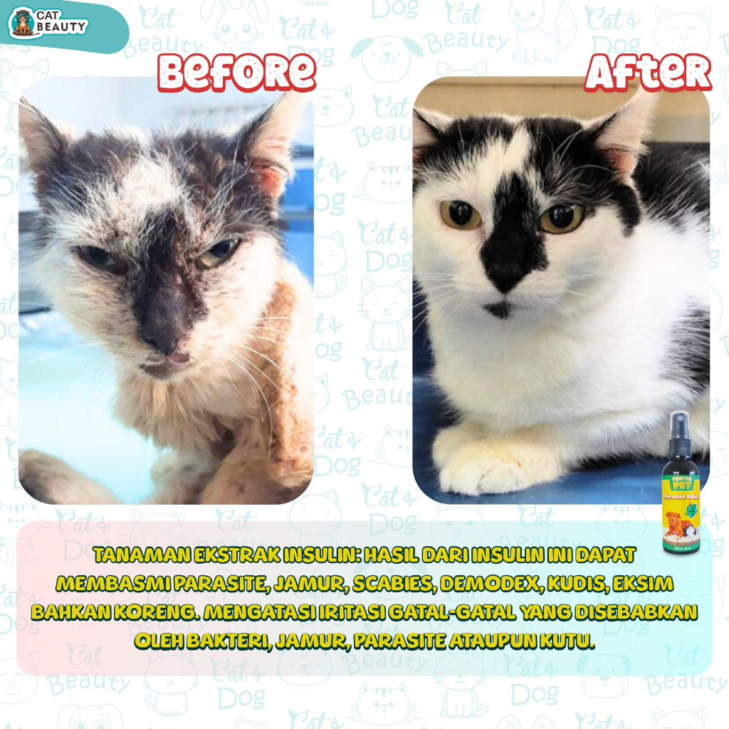 Jual FORTIS Obat Jamur Kucing Anjing Scabies Demodex Kudis Koreng Gatal ...