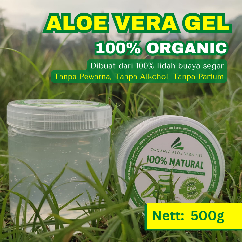 Jual Gel Lidah Buaya Aloe Vera Gel 500g 100 Organik Shopee Indonesia