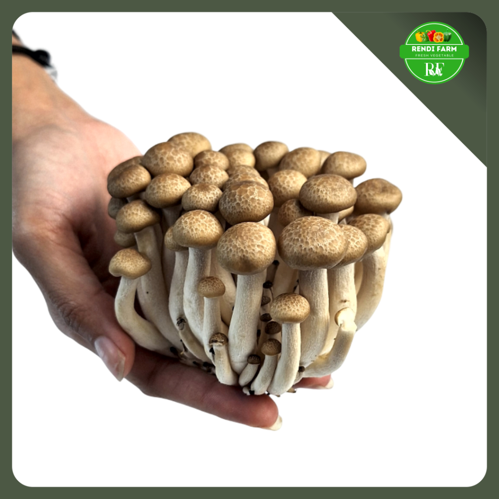 Jual JAMUR SHIMEJI PUTIH/ JAMUR SHIMEJI COKLAT/ JAMUR IMPORT/ JAMUR