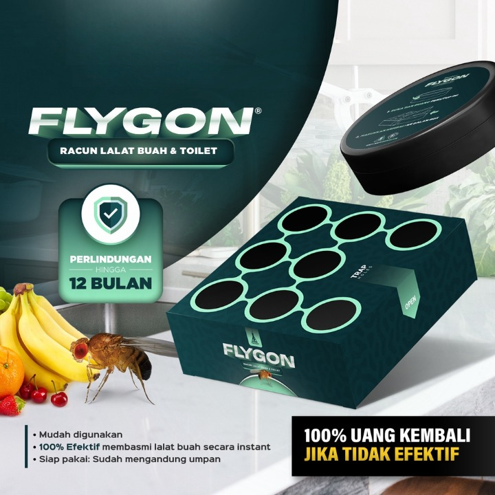 Jual Fly Trap Racoon Flygon - Racun Umpan Lalat Buah Basmi Jebakan ...