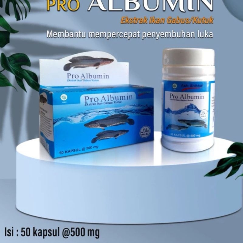 Jual Pro Albumin Ekstrak Ikan Gabus Original Shopee Indonesia