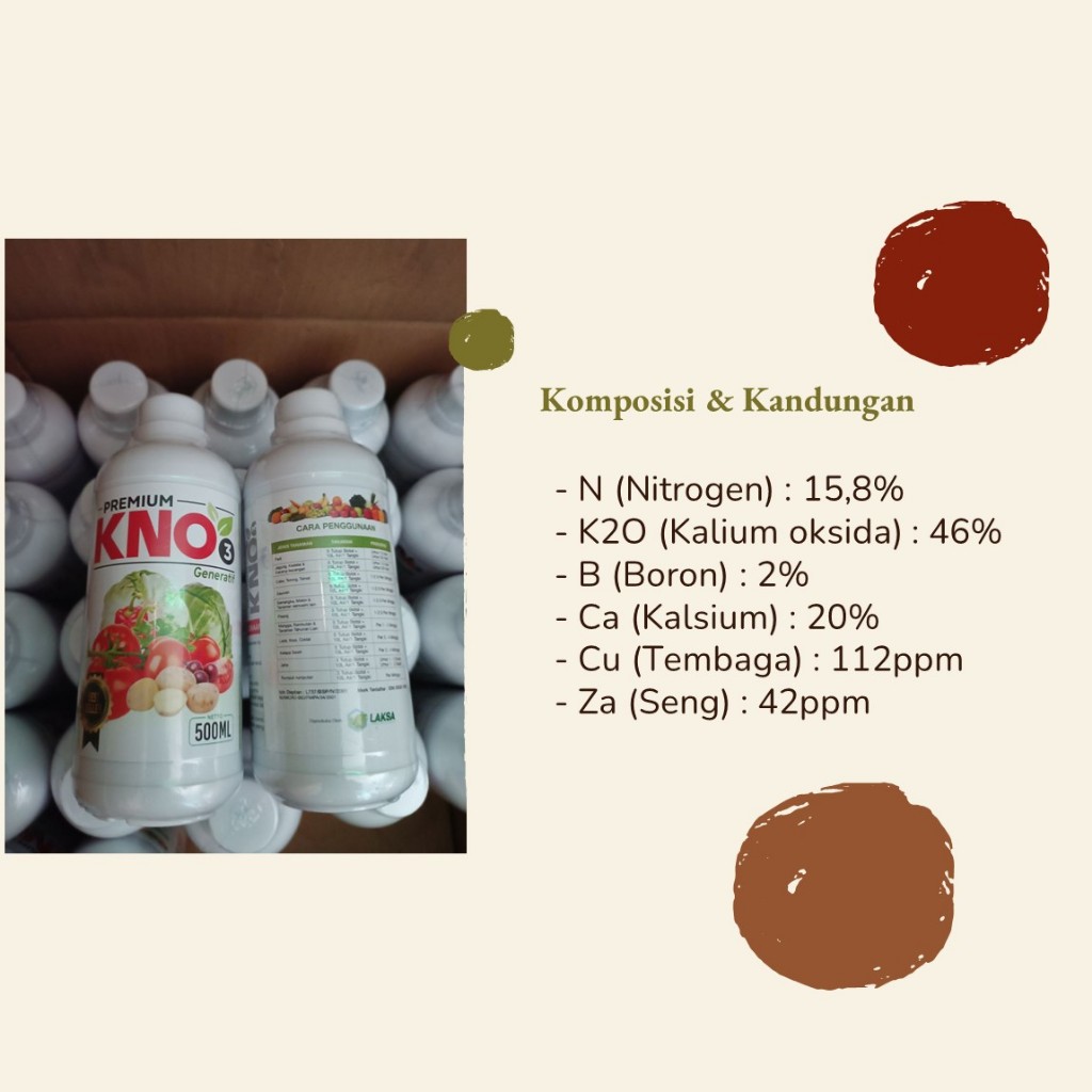 Jual Budidaya Labu Super: Tingkatkan Produksi dan Ukuran dengan Pupuk ...