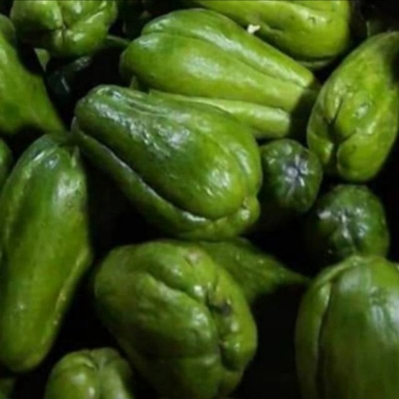 Jual labu kecil 500gr | Shopee Indonesia