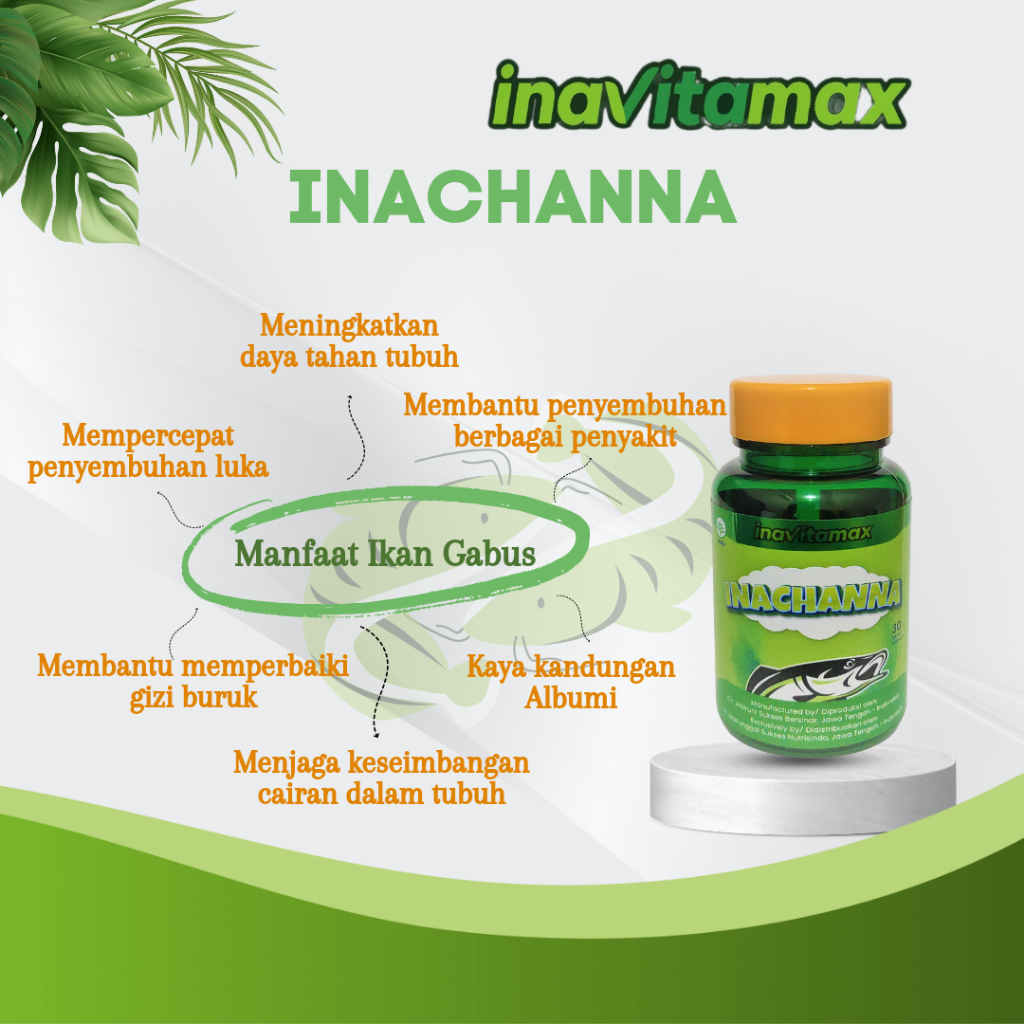 Jual INAVITAMAX INACHANNA | Shopee Indonesia