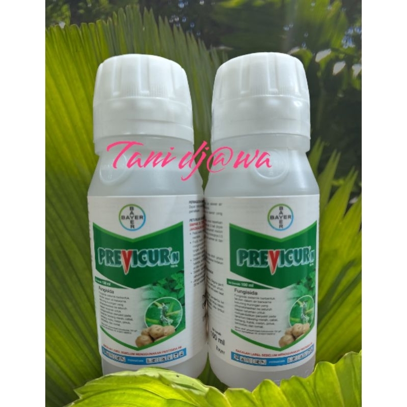 Jual Fungisida PREVICUR 722 SL 100 ml | Shopee Indonesia
