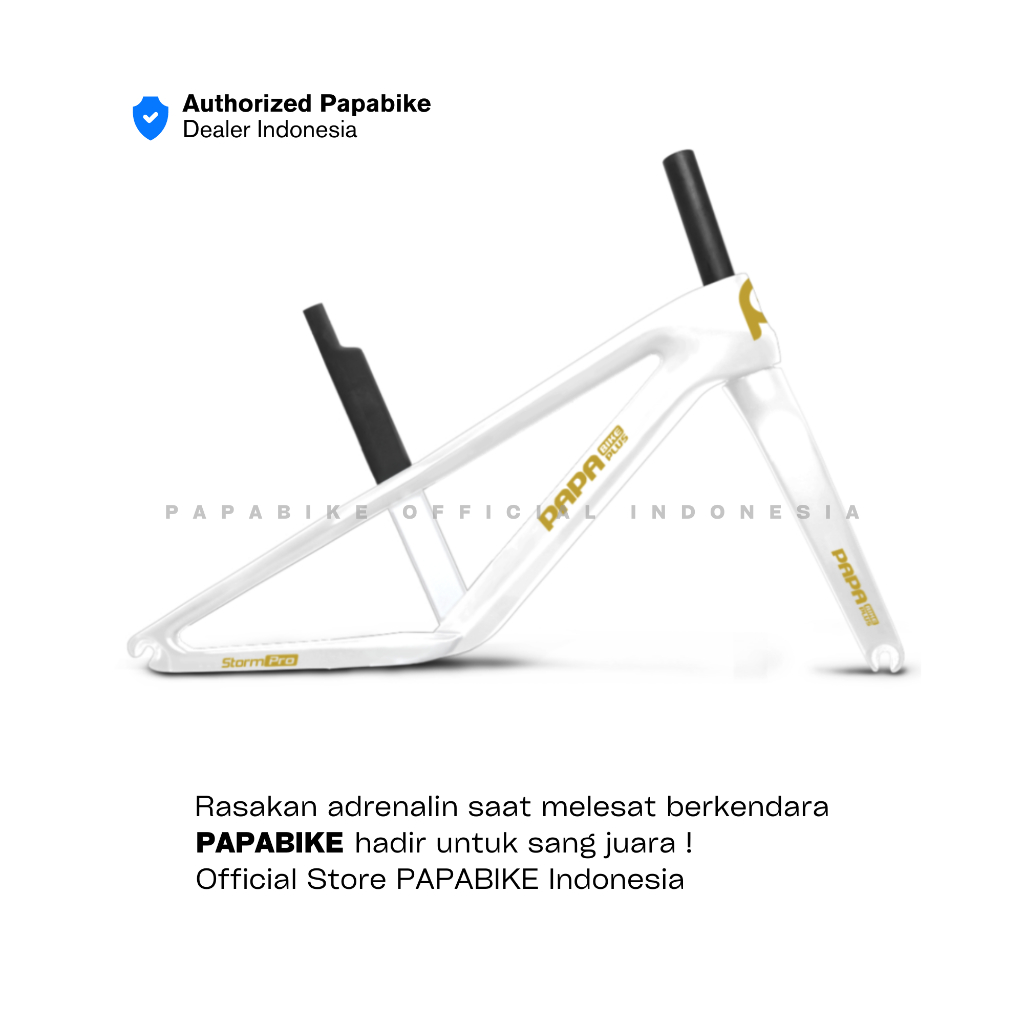 Jual [PRE ORDER] ??? PAPABIKE STORM PRO CARBON FRAME STANDART 