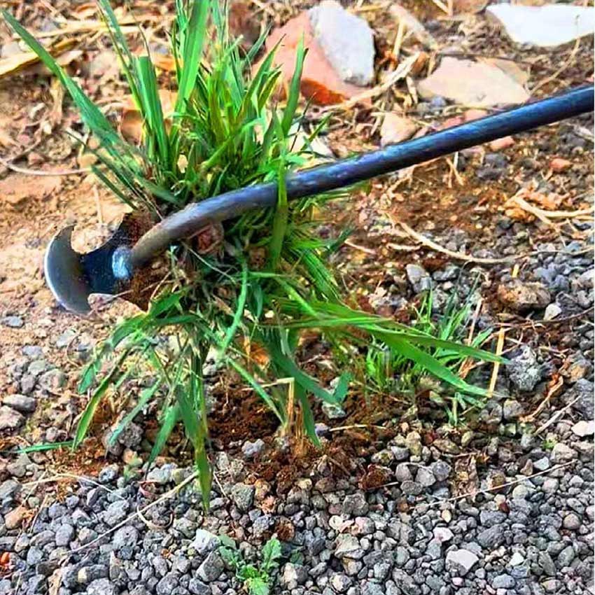 Jual Cangkul Garuk 2 in1 Gagang Besi Pacul Mini 2 Fungsi Pembersih ...