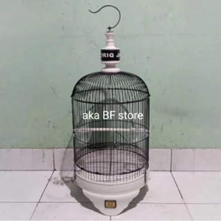 Vukuda bufetchi bilan anal seks videolari