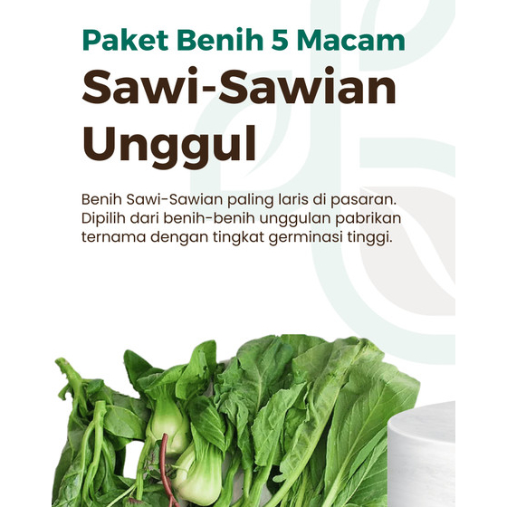 Jual Paket Macam Benih Sawi Sayuran Unggul Caisim Pakcoy Pagoda Super