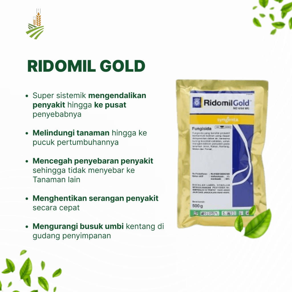 Jual Penyehat Tanaman | Ridomil Gold Fungisida Sistemik - 500 gram ...