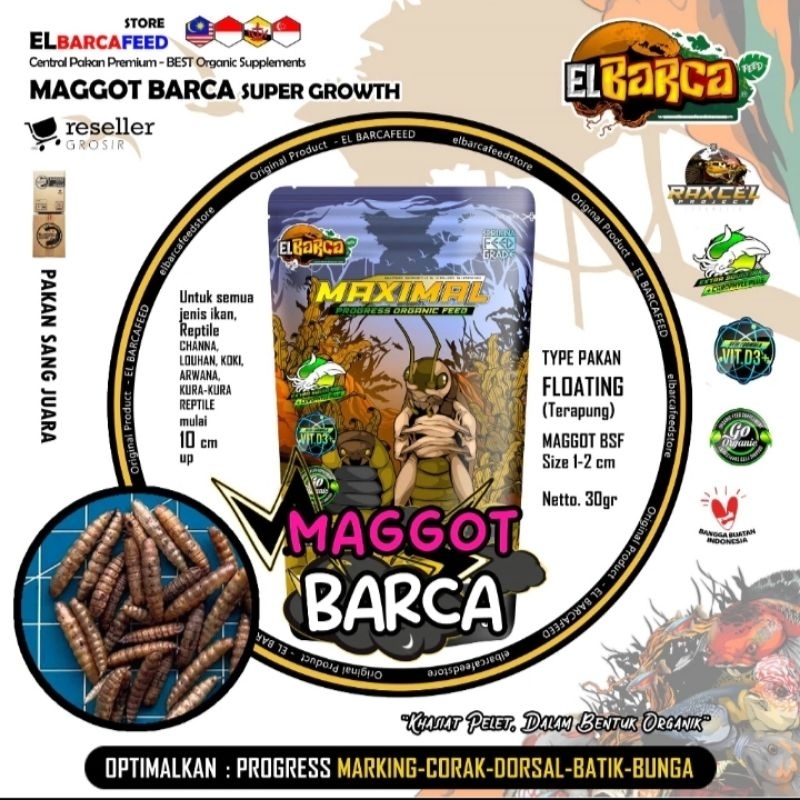 Jual [COD] MAGGOT BARCA SUPER GROWTH 30gr | Shopee Indonesia