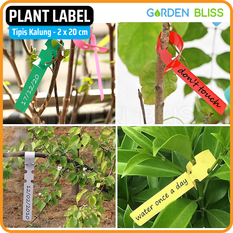 Jual 1 Pack 50 Pcs - Plant Label Name Tag - Label Penanda Tanaman ...