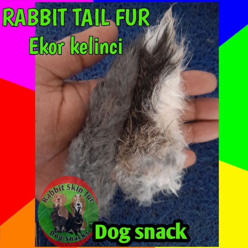 Jual Ekor kelinci/Rabbit tail dehidrated,camilan anjing | Shopee Indonesia