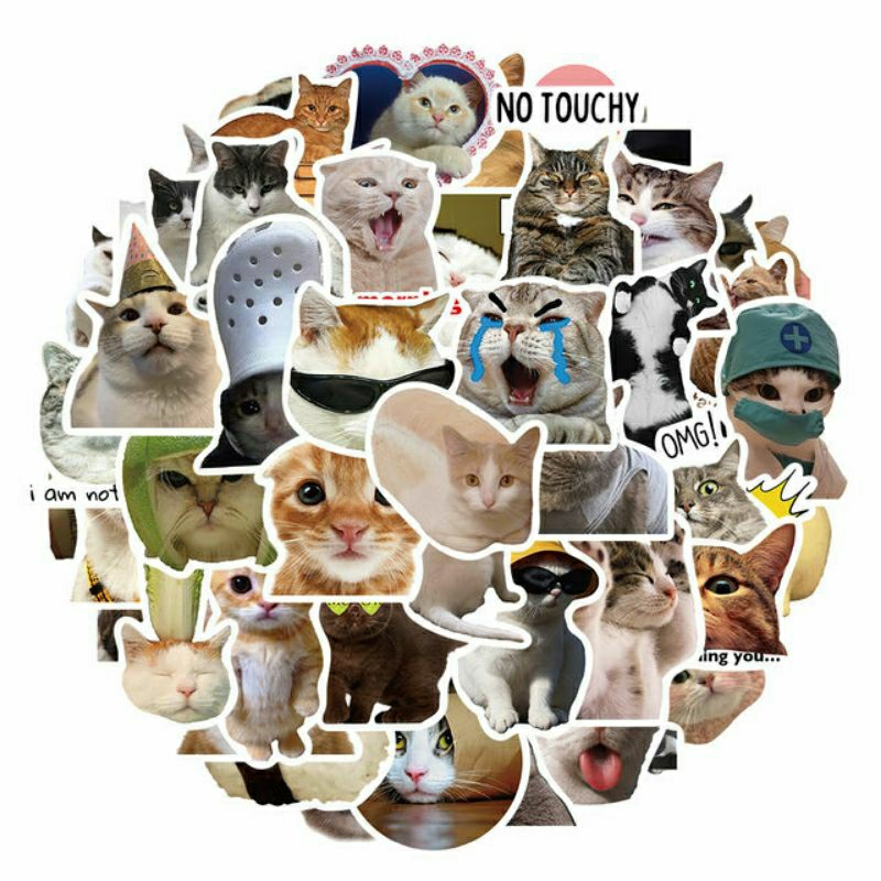 Jual Stiker Kucing Lucu Stiker Pac Kucing Style 260481 Stiker High