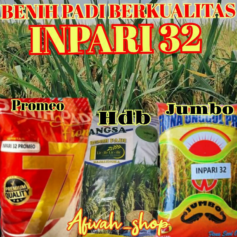 Jual Benih Padi Berkualitas Premium Inpari Jumbo Hdb Promeo Kemasan Kg Shopee Indonesia