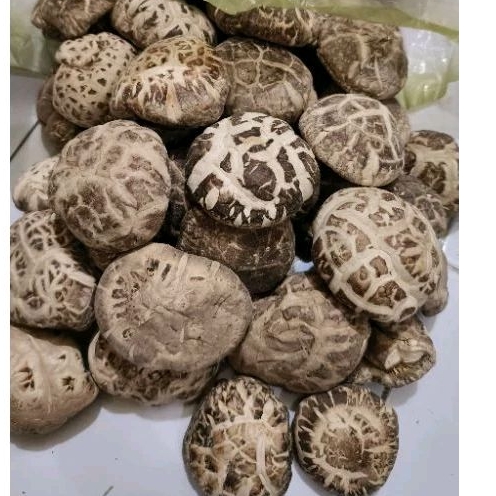 Jual JAMUR SHITAKE KERING TEBAL / JAMUR PAYUNG / HIOKO / SIANG KU 200GR ...