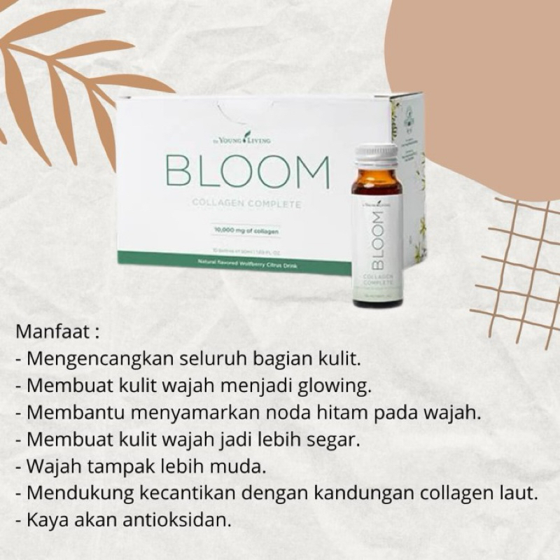 Jual BLOOM COLLAGEN YOUNG LIVING (3BOX) | Shopee Indonesia