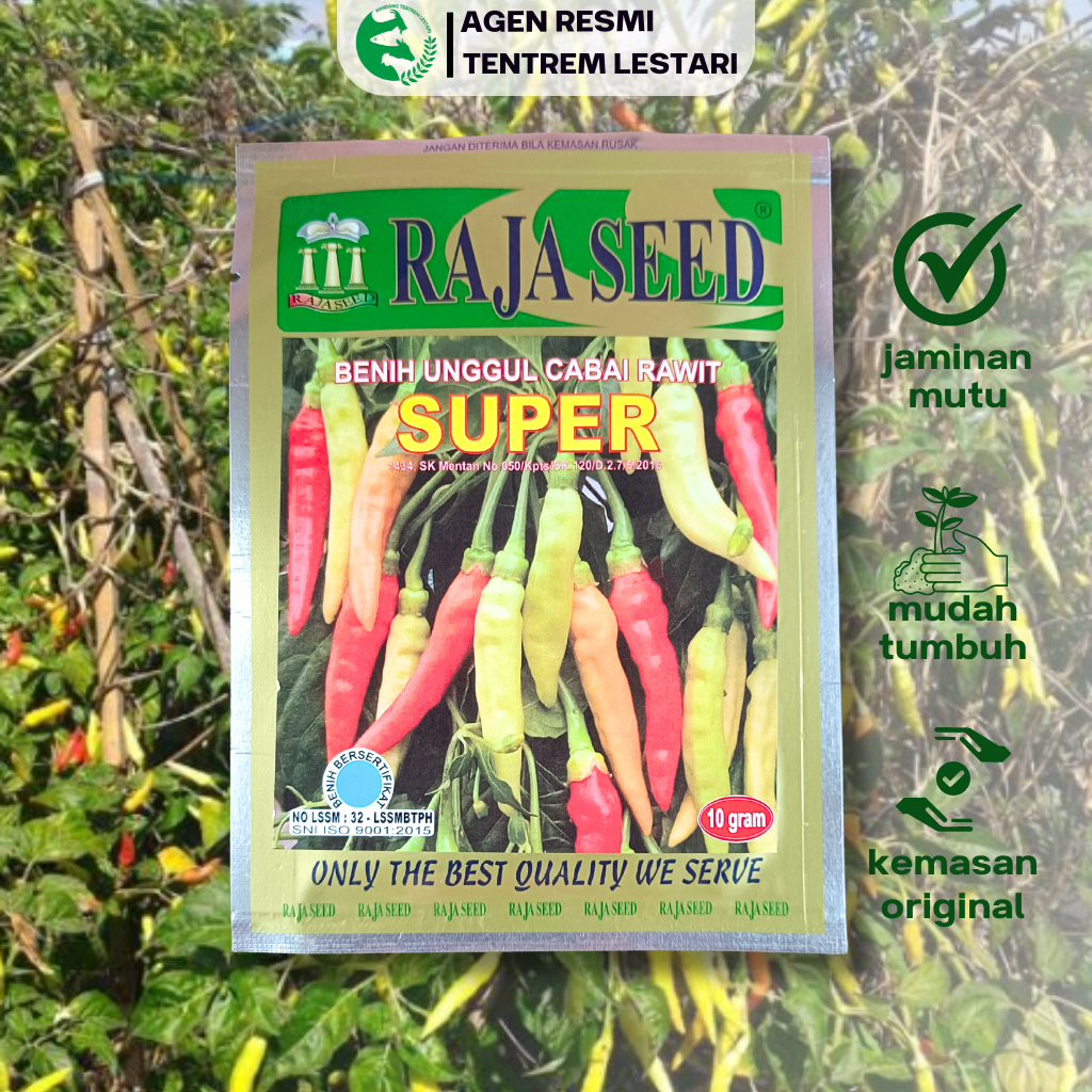 Benih Cabe Rawit SUPER 10 gram Cap RAJA SEED Lebat & Bandel