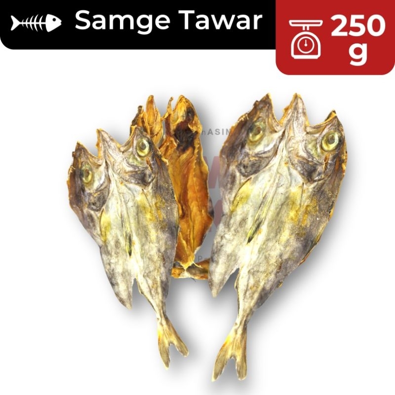 Jual 250g Samge Tawar SUPER / Kepala Batu Tawar / Ikan Asin Samge ...