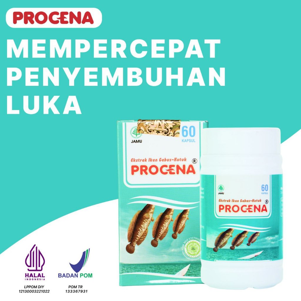 Jual Kapsul Procena Ekstrak Ikan Gabus Kutuk Kapsul ikan gabus albumin ...
