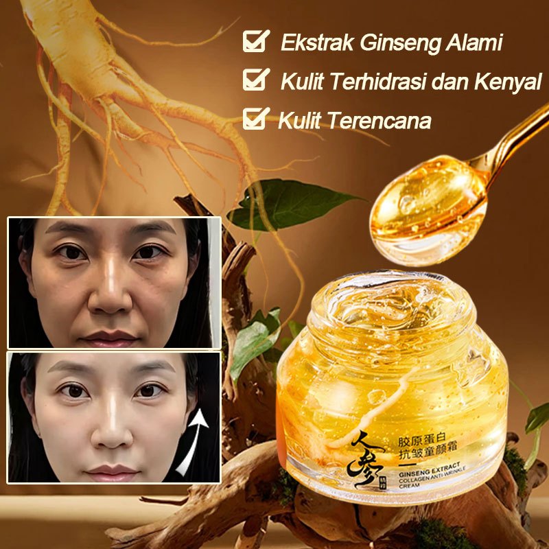 Krim Ginseng Kolagen 50g foto 3