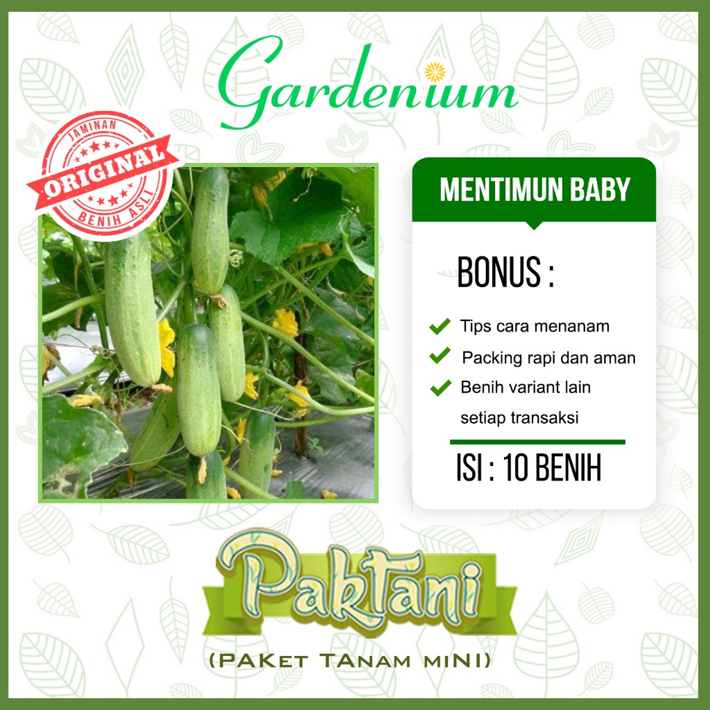 10 Benih Baby Timun Mentimun Baby Tanaman Sayur Buah Unggul Paktani