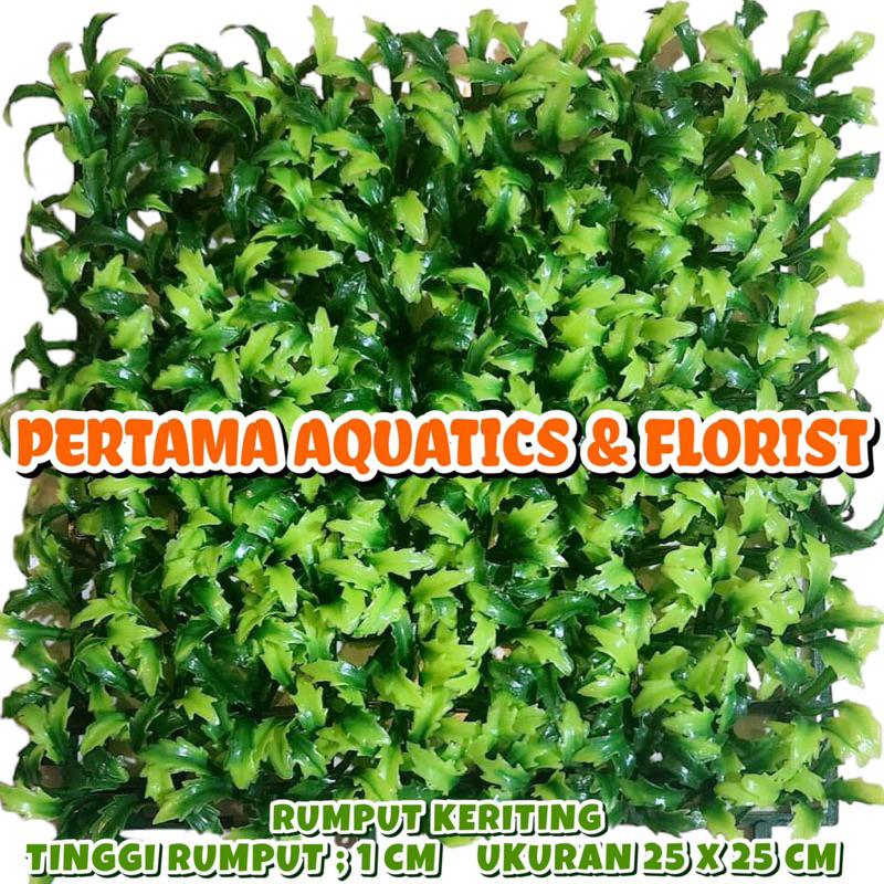 Jual ( Pilih) Rumput Hijau Ukuran 25X25 Cm/ Rumput Aquarium/ Rumput ...