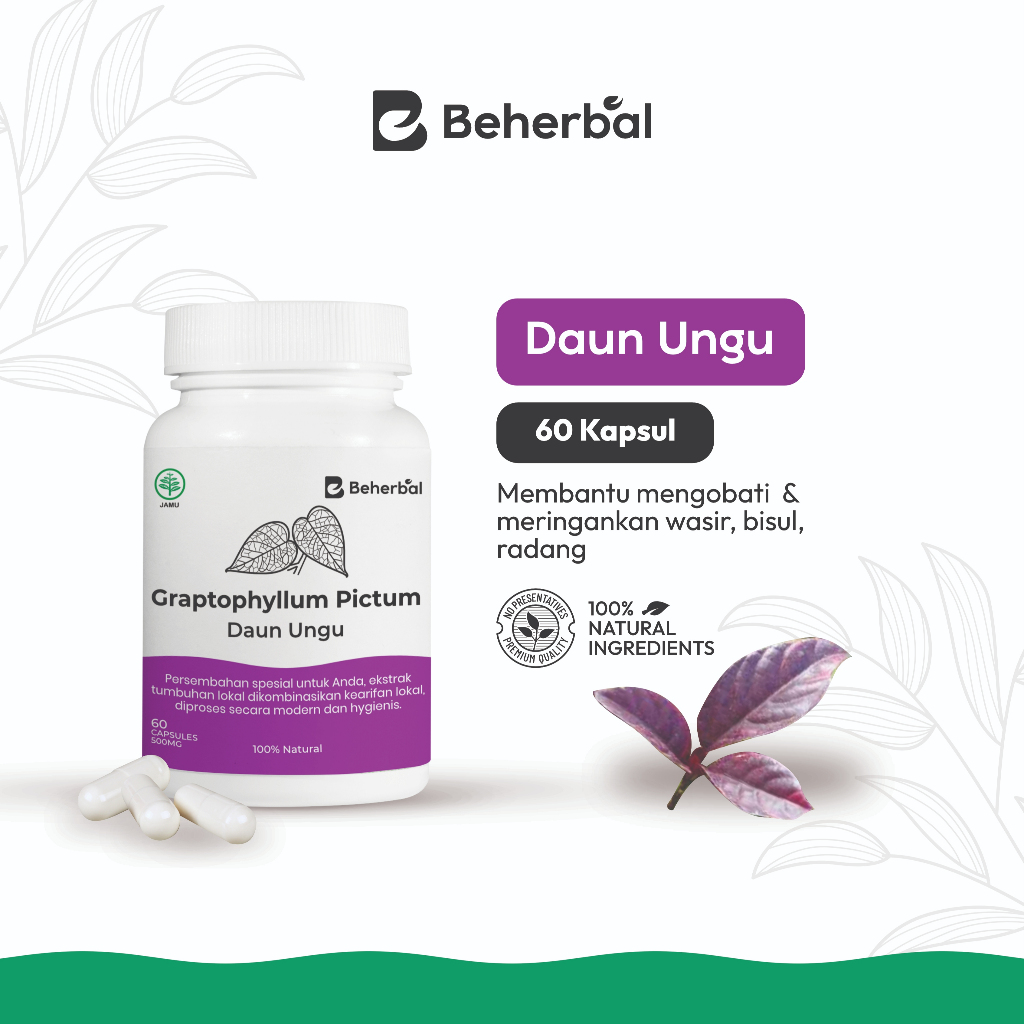 Kapsul Daun Ungu Obat Wasir Obat Ambiein Obat Wasir Daun Ungu Obat Wasir Ambeven Obat Wasir Daun Ungu Obat