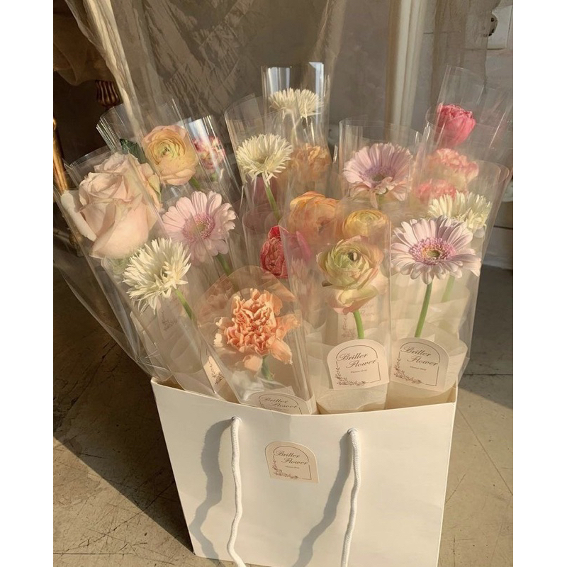 Jual daisy days single daisy of garbera bouquet bucket buket bunga ...