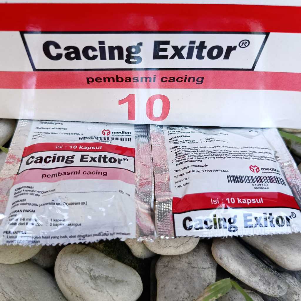 Jual OBAT CACING EXITOR 1 Sachet 10 Kapsul Obat Pembasmi Cacing Pada ...