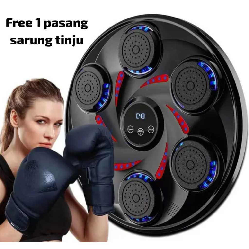 Jual Samsak Music Boxing Board HJ-008 Papan Tinju Musik Rumah Tangga ...