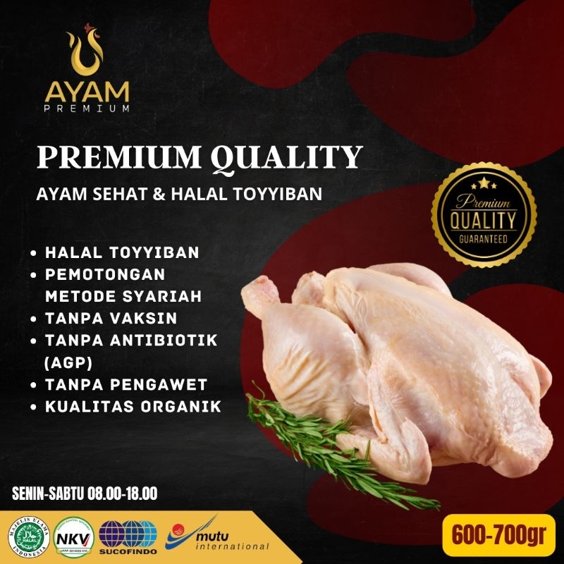 Jual Ayam Premium Broiler Organik Utuh Karkas Frozen 600 700gr Shopee