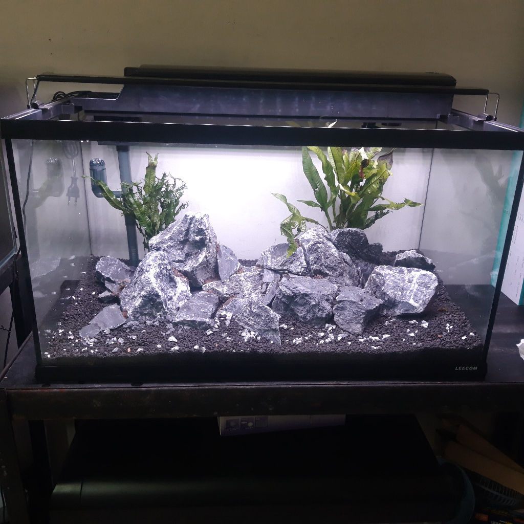 Jual Aquarium Set Dengan Aquascape Dengan Perawatan Yang Mudah Untuk