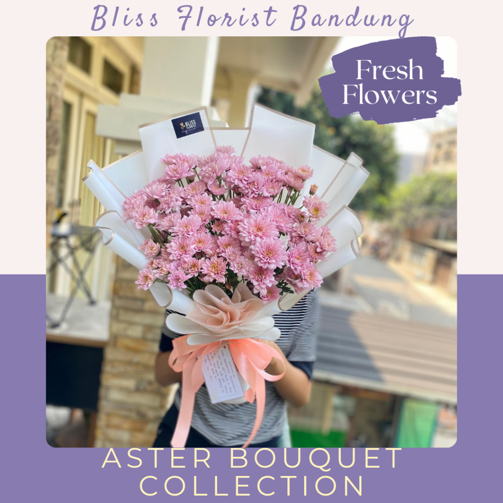 Jual Buket Bunga Asli Buket Mawar Aster Asli Bucket Wisuda Graduation Bouquet Cutom