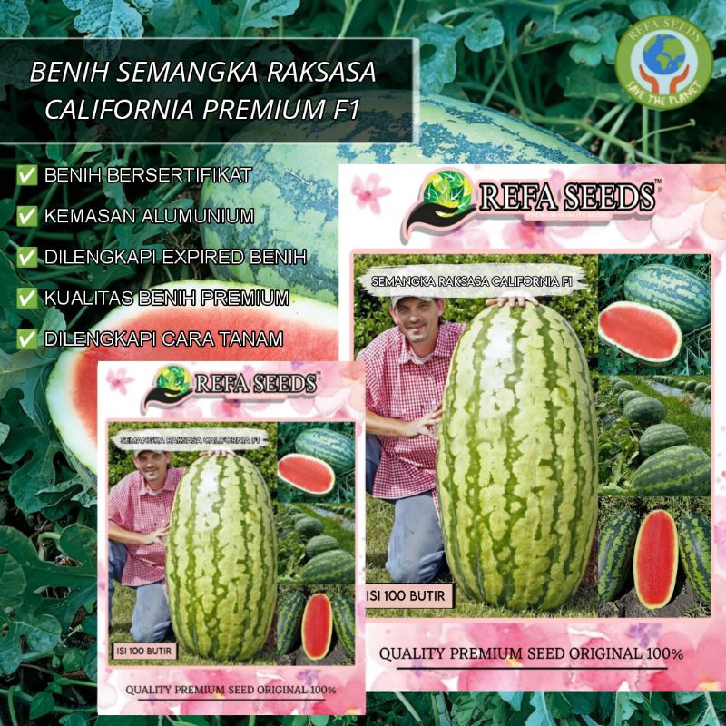 Jual Refa 100 Biji Benih Buah Semangka Raksasa California F1 Kemasan