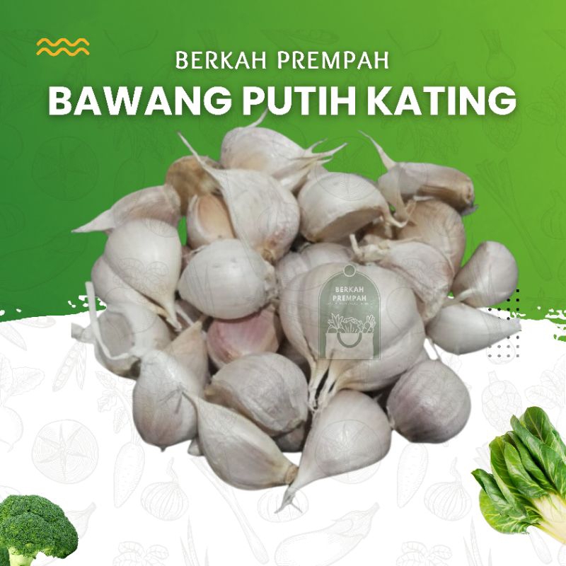 jual-bawang-putih-kating-pilihan-super-premium-1000gr-shopee-indonesia