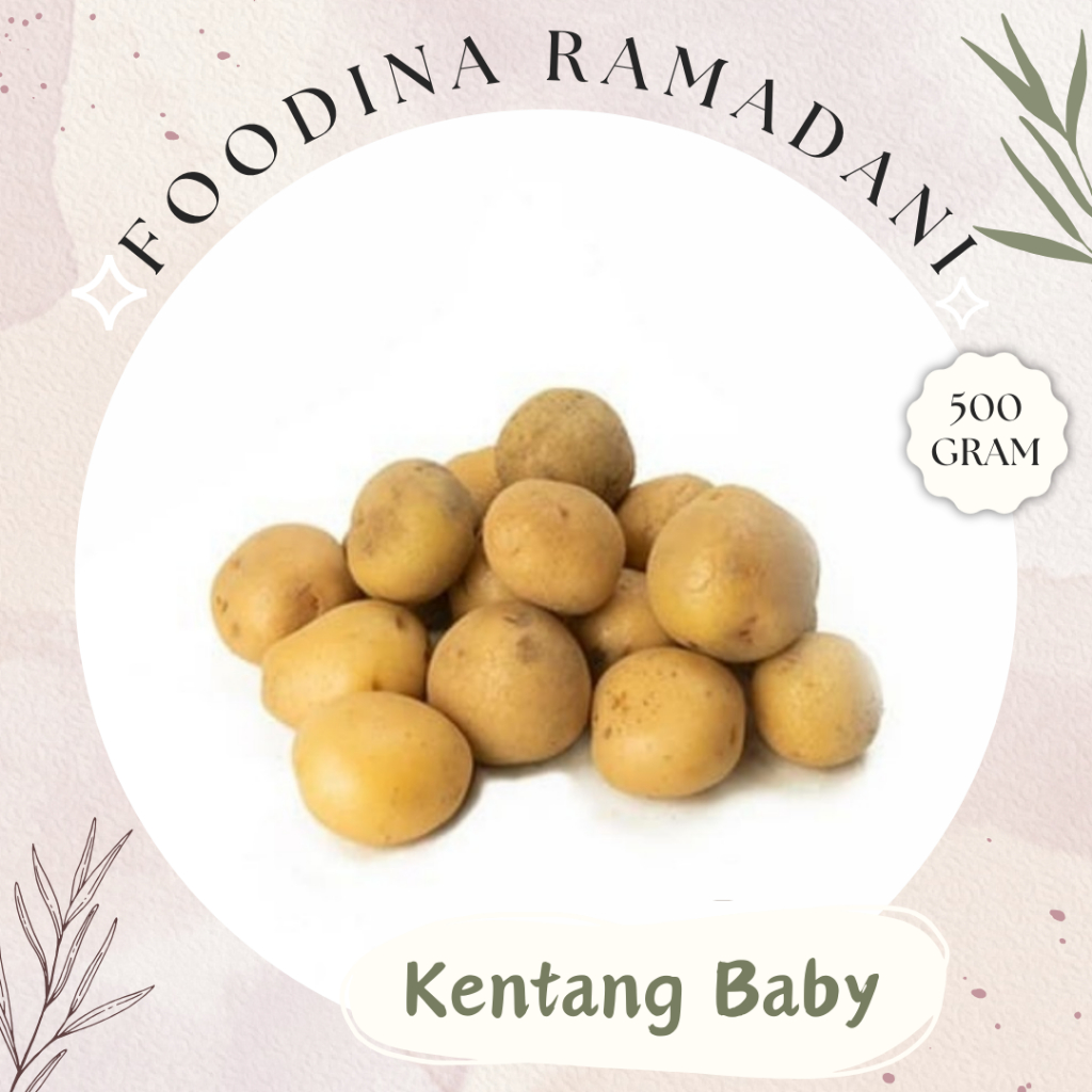 Jual KENTANG Mini Rendang - Baby Potato Fresh [ Berat 500gr ] Harga Per ...
