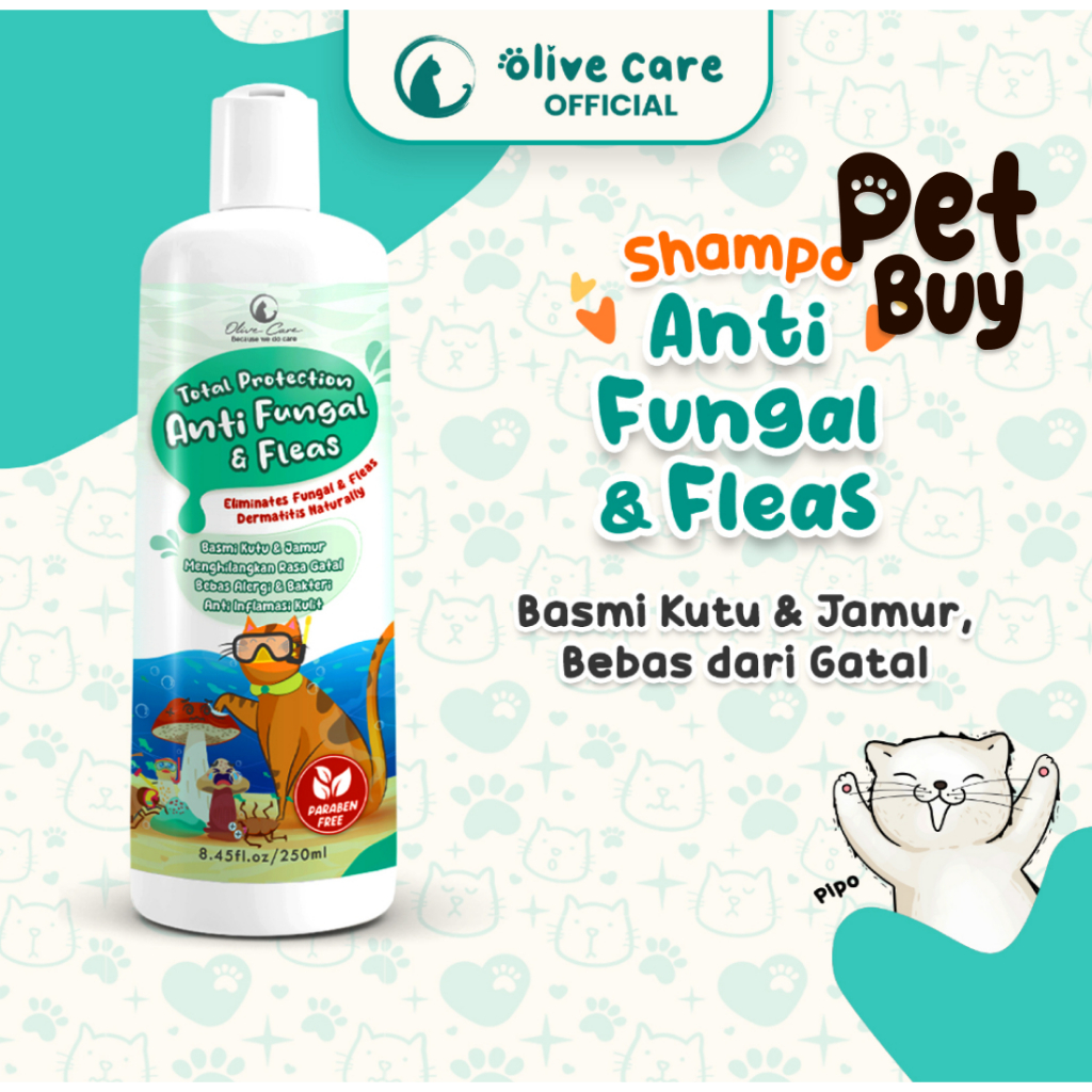 A closer look at Dog Shampoo With Olive Oil And Anti-Inflammatory Properties
