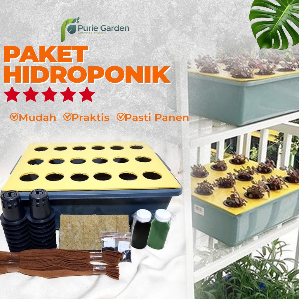 Jual Paket Hidroponik Terlengkap & Harga Terbaru Juni 2026 | Shopee ...